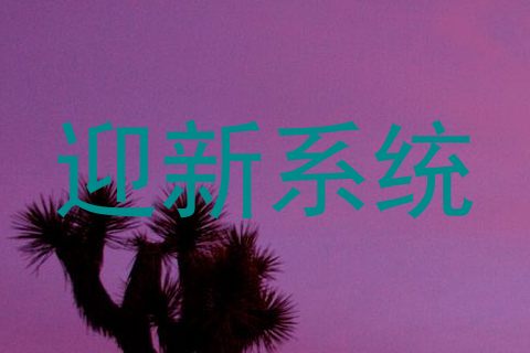 迎新系统