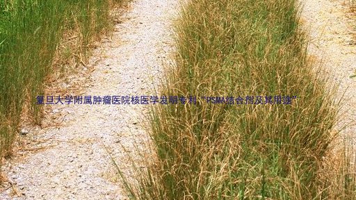 复旦大学附属肿瘤医院核医学发明专利“PSMA结合剂及其用途”