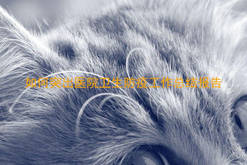 如何突出医院卫生防疫工作总结报告