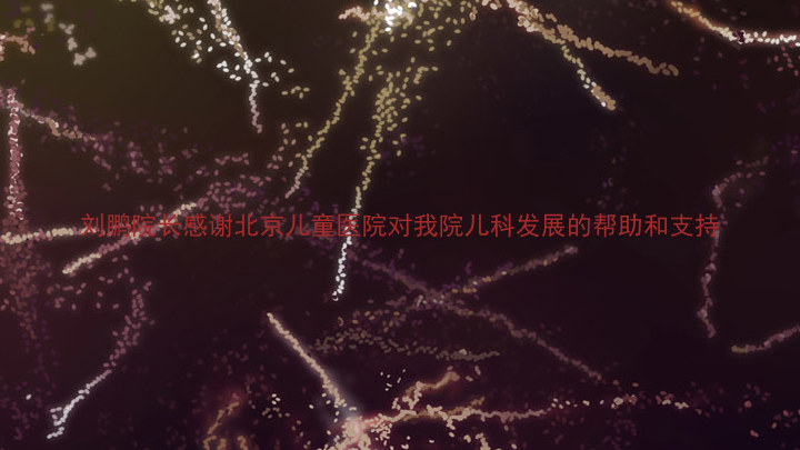 刘鹏院长感谢北京儿童医院对我院儿科发展的帮助和支持
