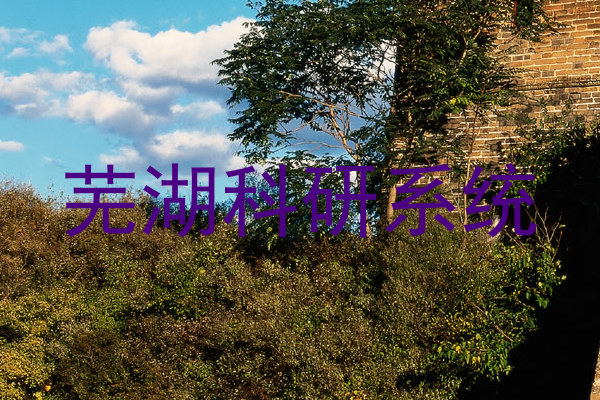 芜湖科研系统