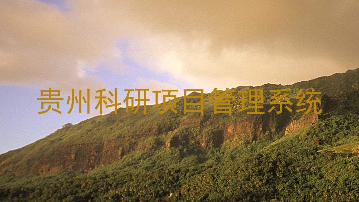 贵州科研项目管理系统