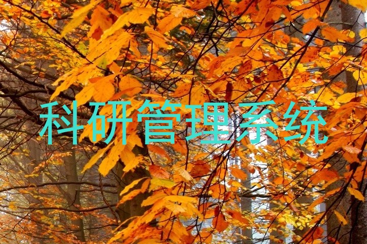 科研管理系统
