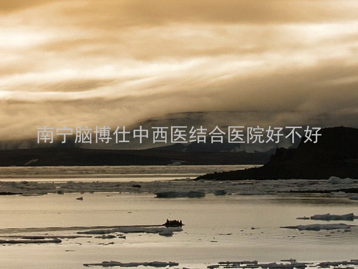 南宁脑博仕中西医结合医院好不好
