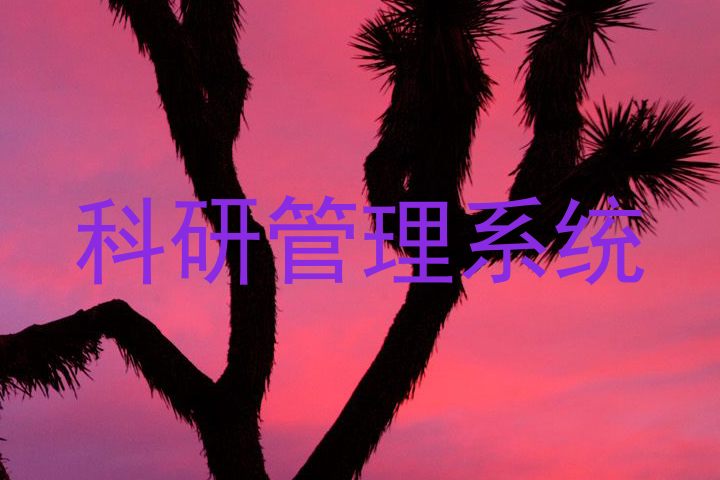 科研管理系统