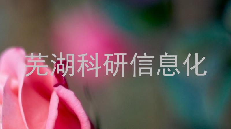 芜湖科研信息化