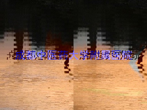 成都中医药大学附属医院