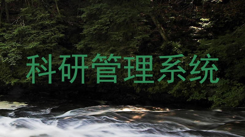 科研管理系统