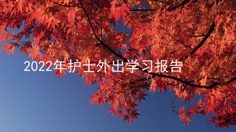 2022年护士外出学习报告
