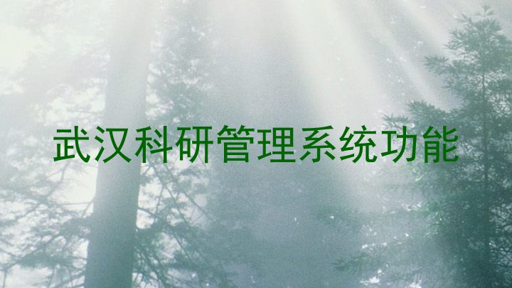 武汉科研管理系统功能
