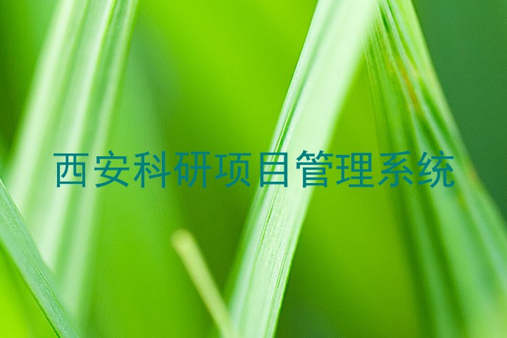 西安科研项目管理系统