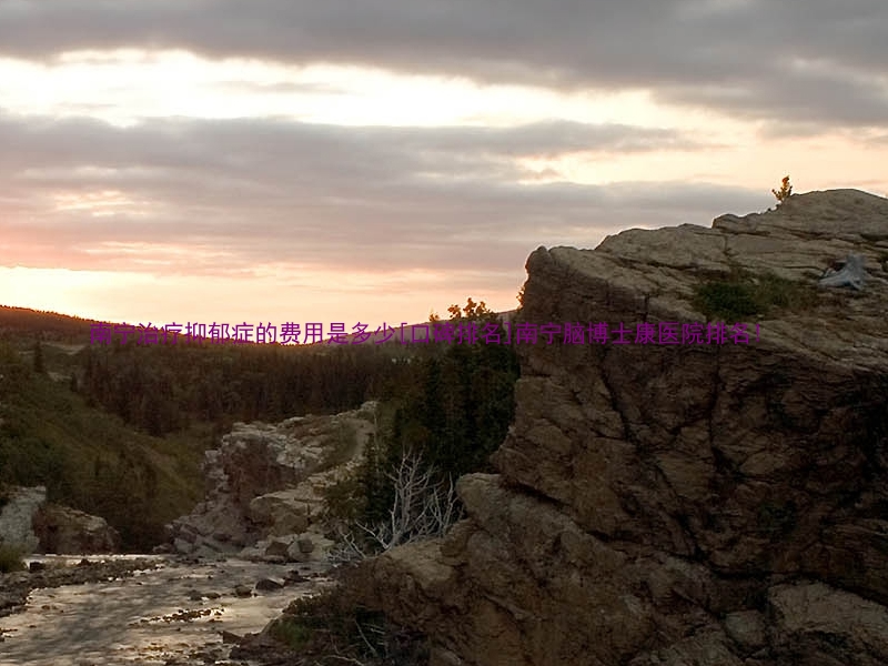 南宁治疗抑郁症的费用是多少[口碑排名]南宁脑博士康医院排名!
