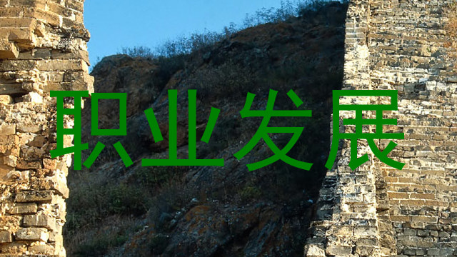 职业发展
