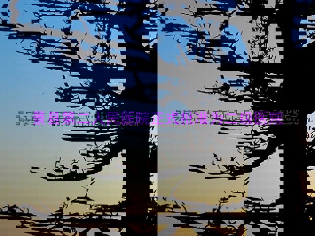 景县第二人民医院正式批准为二级医院