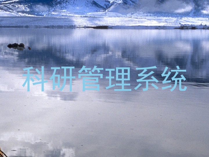 科研管理系统