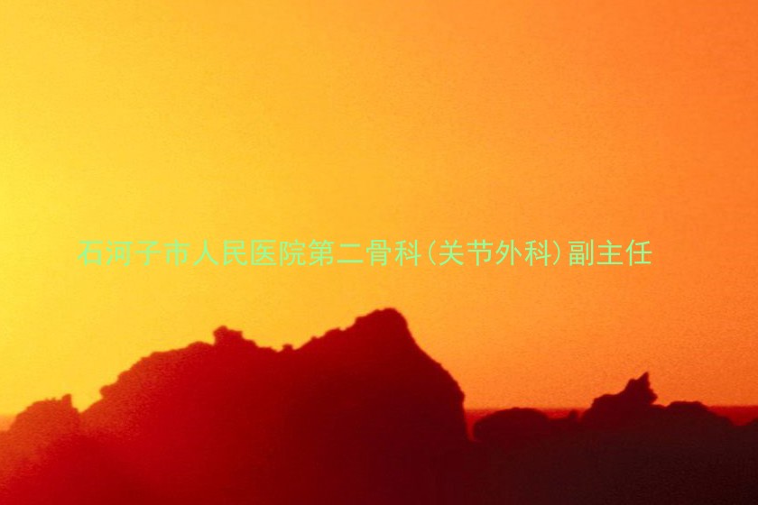 石河子市人民医院第二骨科(关节外科)副主任