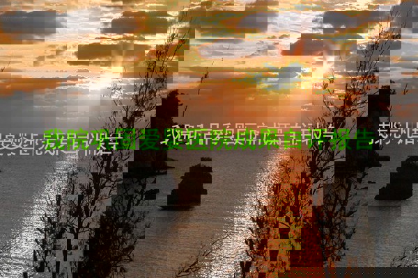 我院巩固爱婴医院成果自评报告