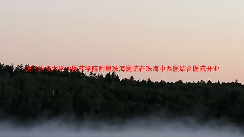 澳门科技大学中医药学院附属珠海医院在珠海中西医结合医院开业
