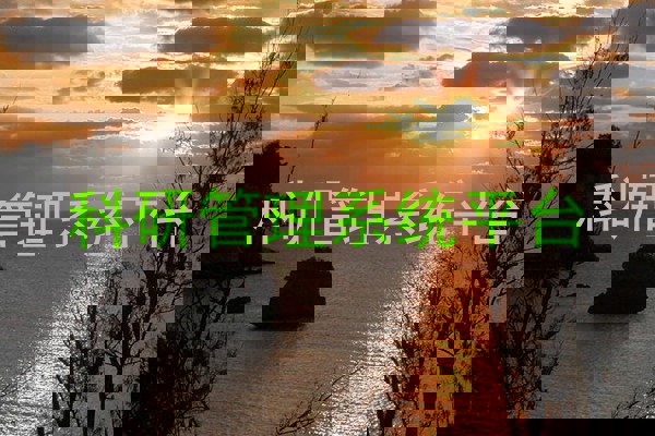 科研管理系统平台