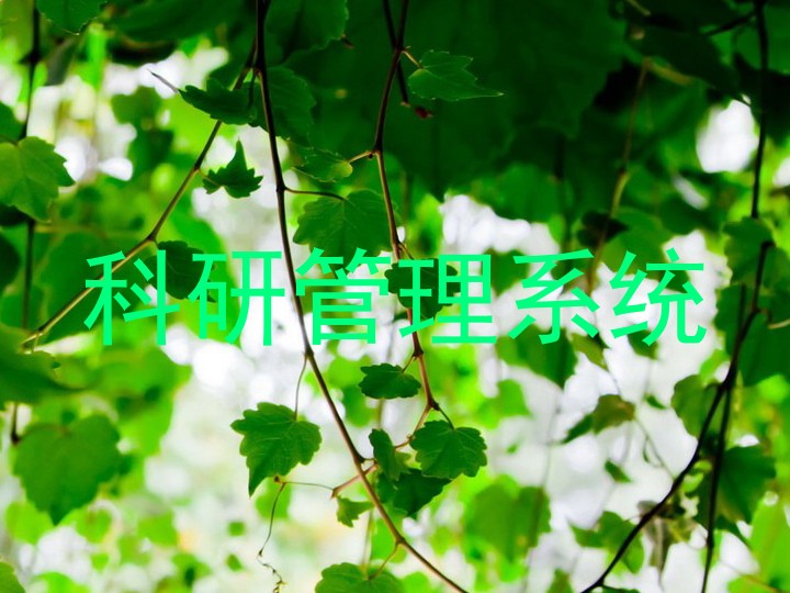 科研管理系统