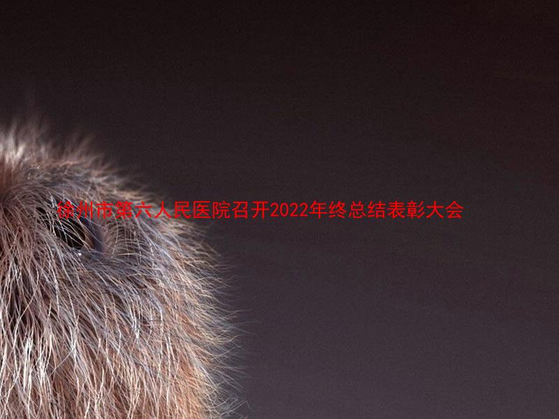 徐州市第六人民医院召开2022年终总结表彰大会