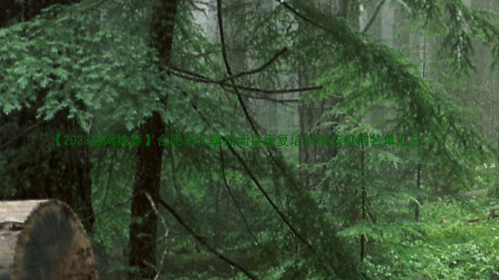 【2023官网推荐】合肥市儿童自闭症康复培训精选机构名单汇总