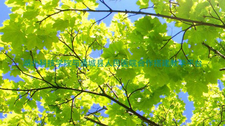 湖北科技学院与通城县人民医院合作搭建教学平台