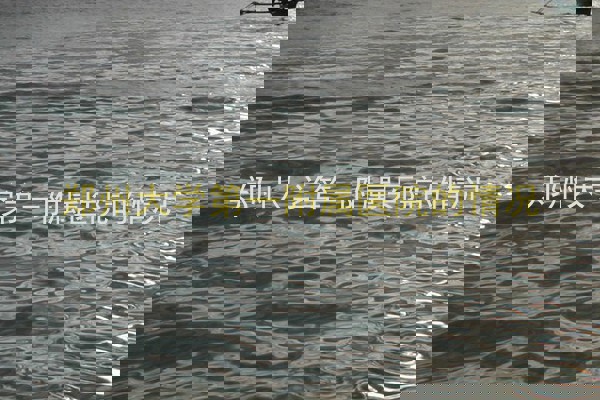 郑州大学第一附属医院的情况