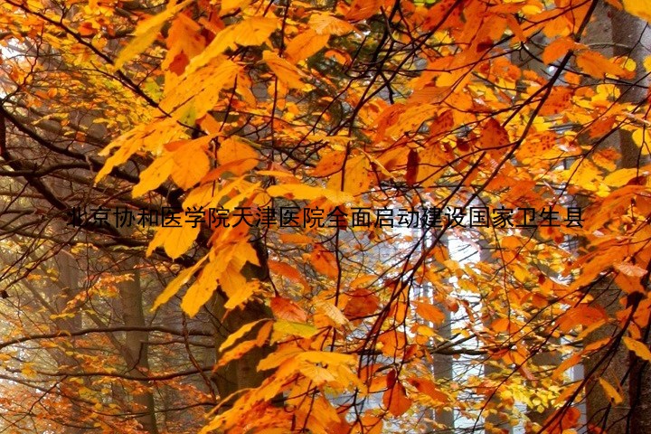北京协和医学院天津医院全面启动建设国家卫生县