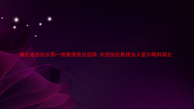 湖北省总院长邢一桥教授致欢迎辞,欢迎张虹教授加入爱尔眼科湖北