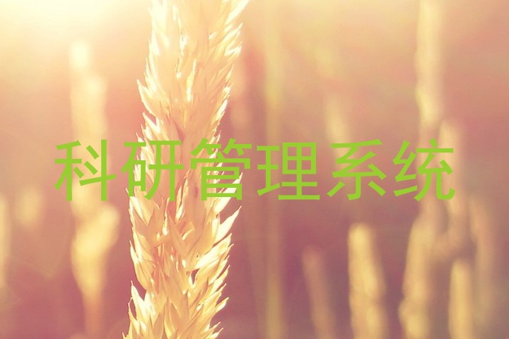 科研管理系统