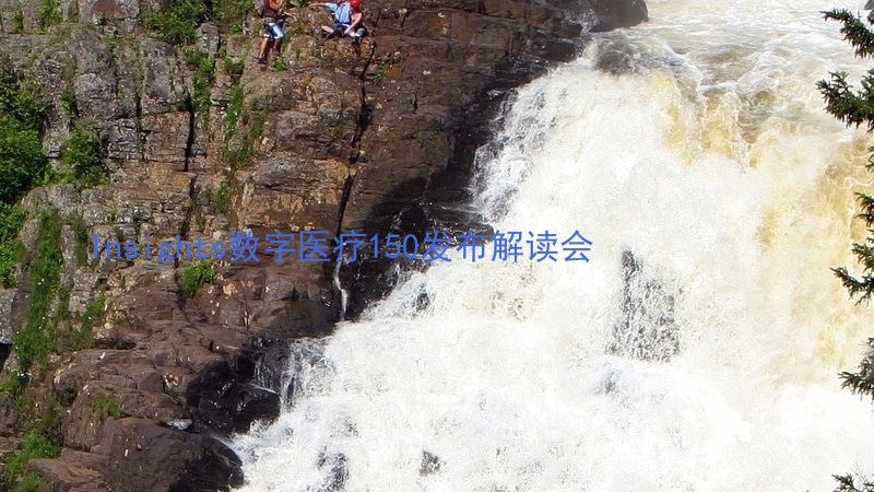 Insights数字医疗150发布解读会