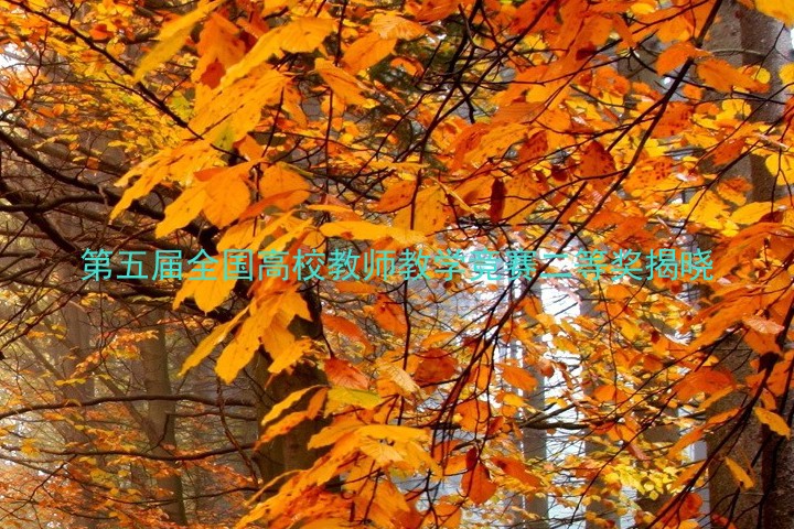 第五届全国高校教师教学竞赛二等奖揭晓
