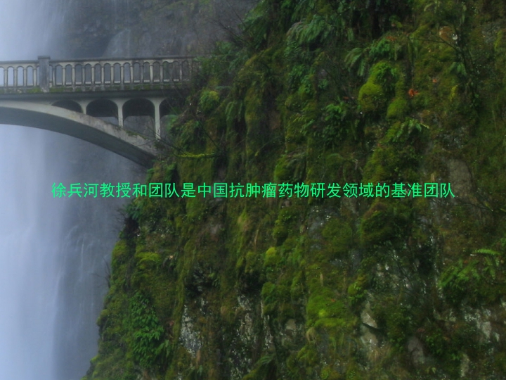 徐兵河教授和团队是中国抗肿瘤药物研发领域的基准团队