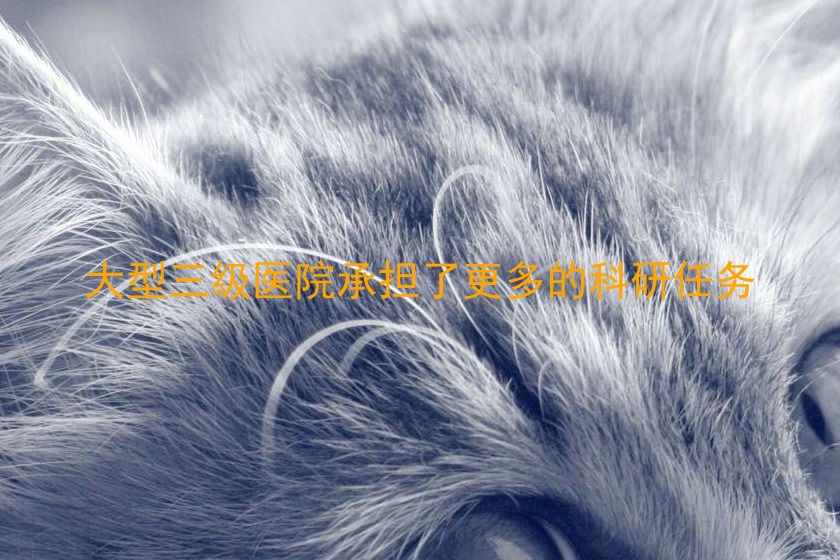 大型三级医院承担了更多的科研任务