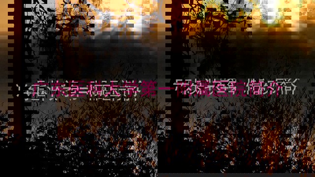 广东医科大学第一附属医院简介
