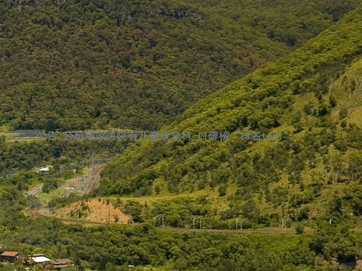公告:合肥哪家医院有儿童康复科_口碑榜“排名top1”