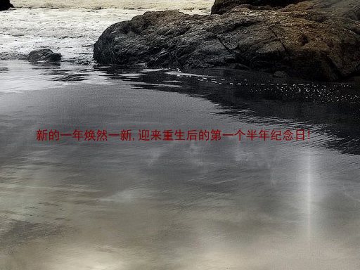 新的一年焕然一新,迎来重生后的第一个半年纪念日!