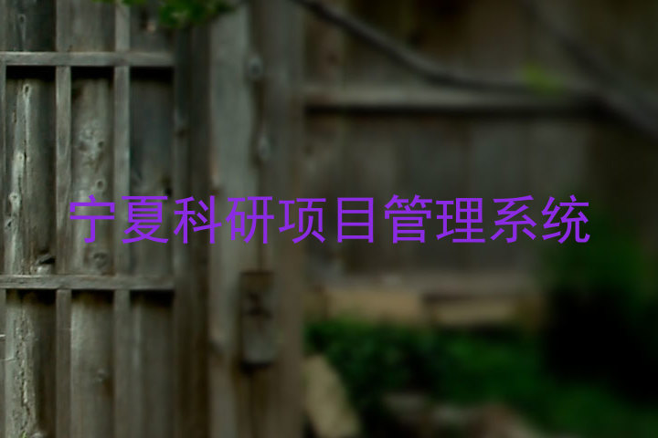 宁夏科研项目管理系统