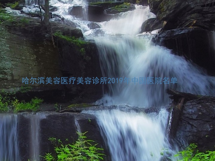 哈尔滨美容医疗美容诊所2019年中国医院名单