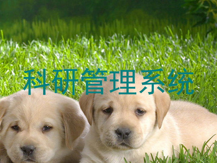 科研管理系统