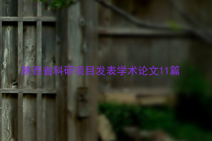 陕西省科研项目发表学术论文11篇