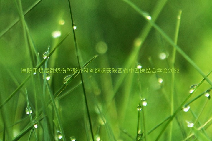医院手足显微烧伤整形外科刘继超获陕西省中西医结合学会2022