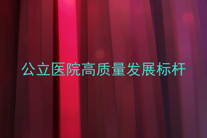 公立医院高质量发展标杆