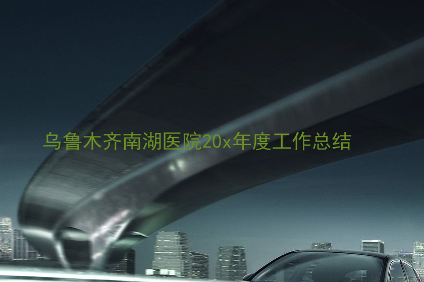 乌鲁木齐南湖医院20x年度工作总结