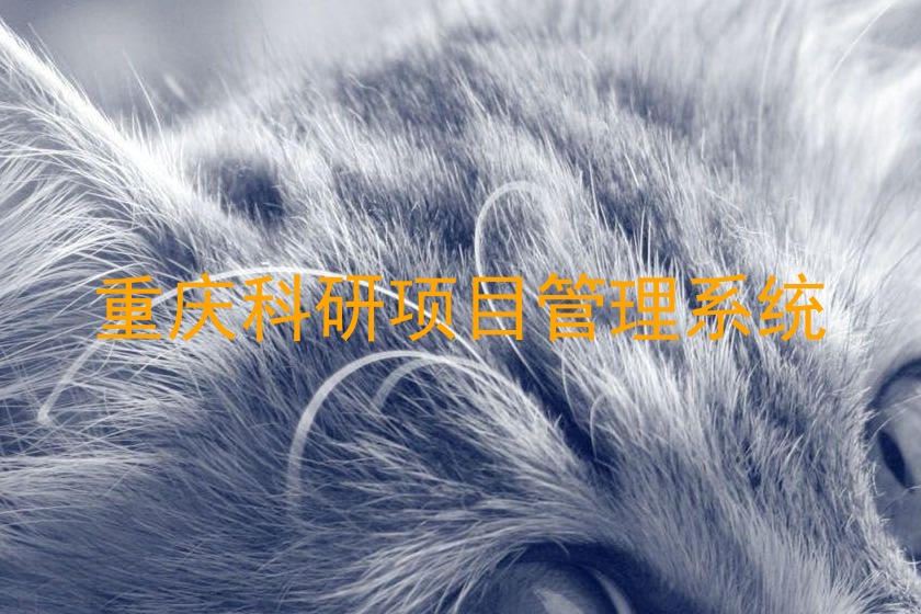 重庆科研项目管理系统