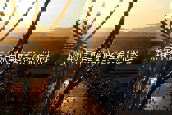 科研信息管理系统优势