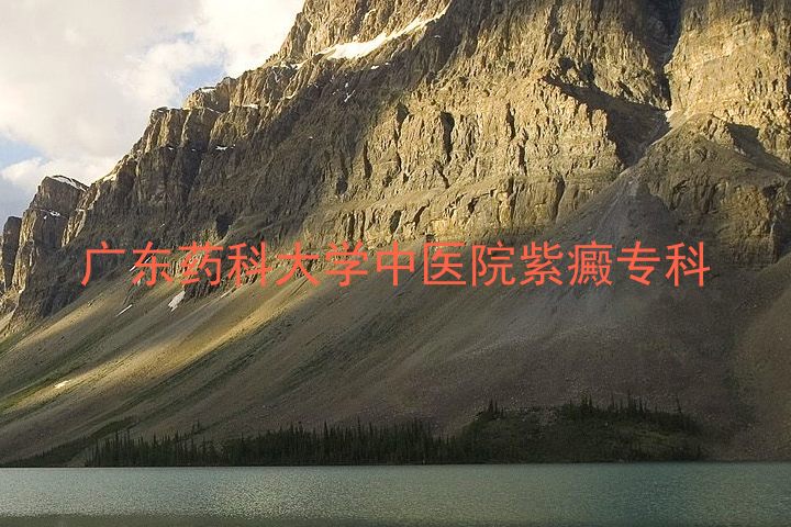 广东药科大学中医院紫癜专科