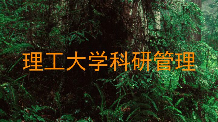 理工大学科研管理
