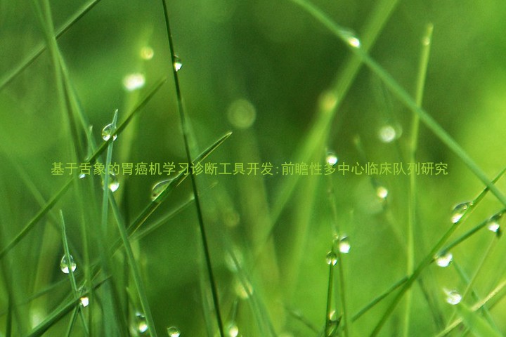 基于舌象的胃癌机学习诊断工具开发:前瞻性多中心临床队列研究